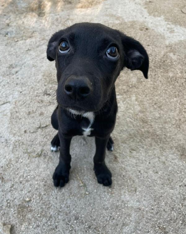IL BELLISSIMO GIOVANNI Foto 3